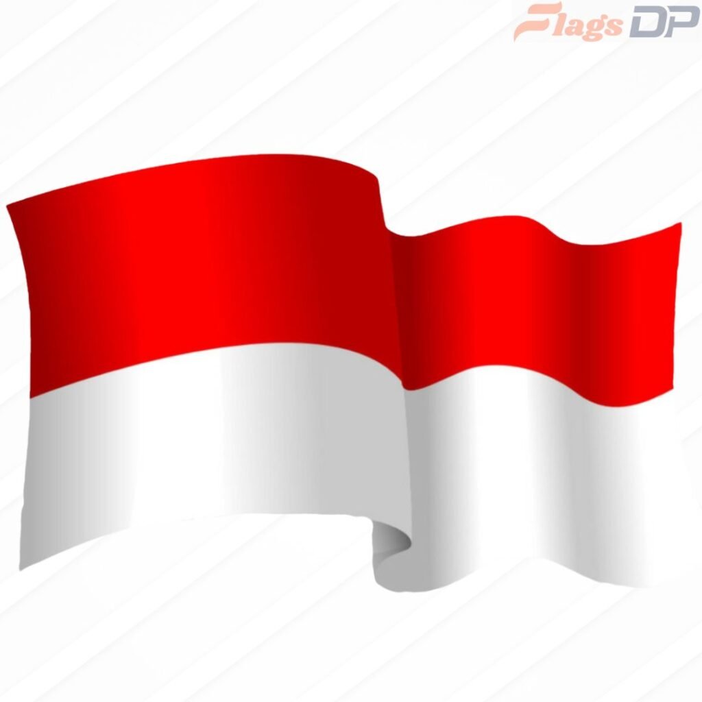 Indonesia Flag DP