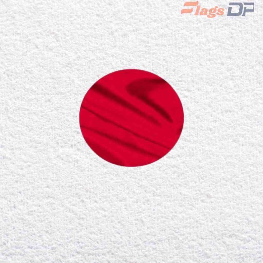 Japan Flag DP
