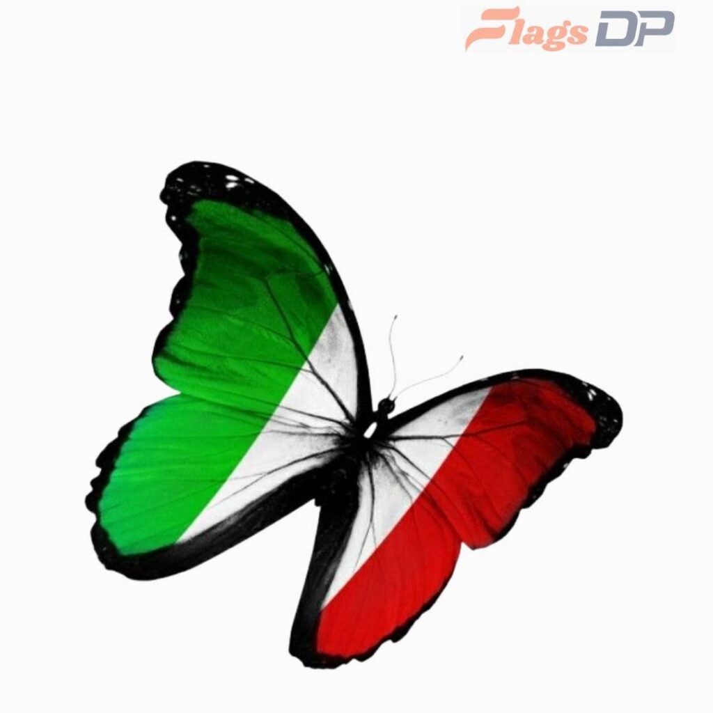 Italy Flag DP Pics