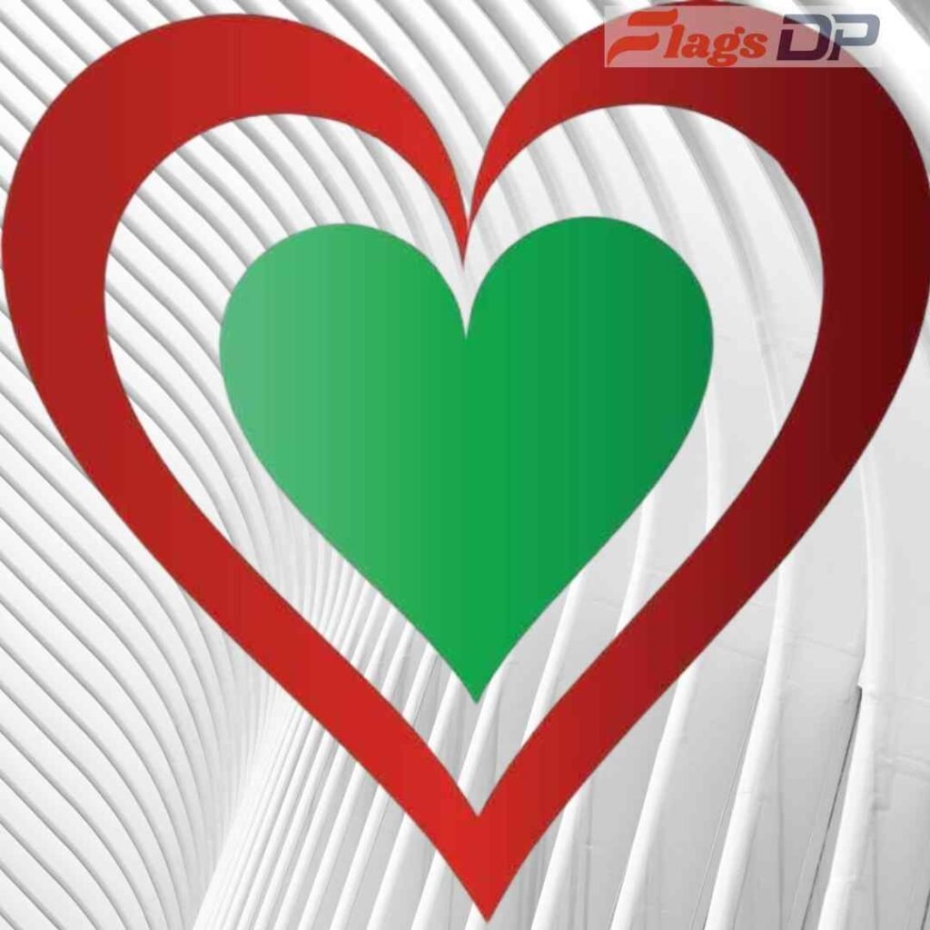 Italy Flag DP