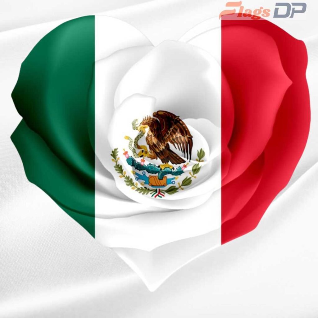Mexico Flag DP Pics