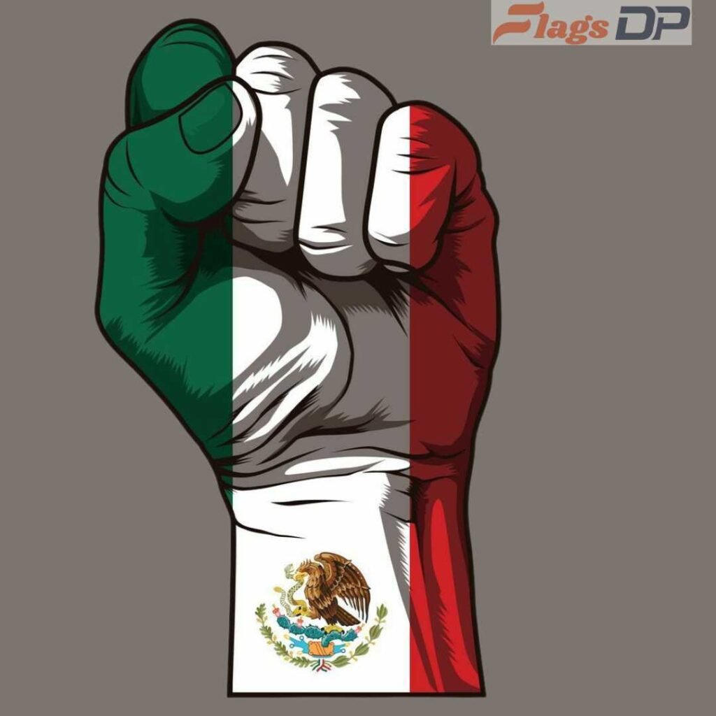 Mexico Flag DP