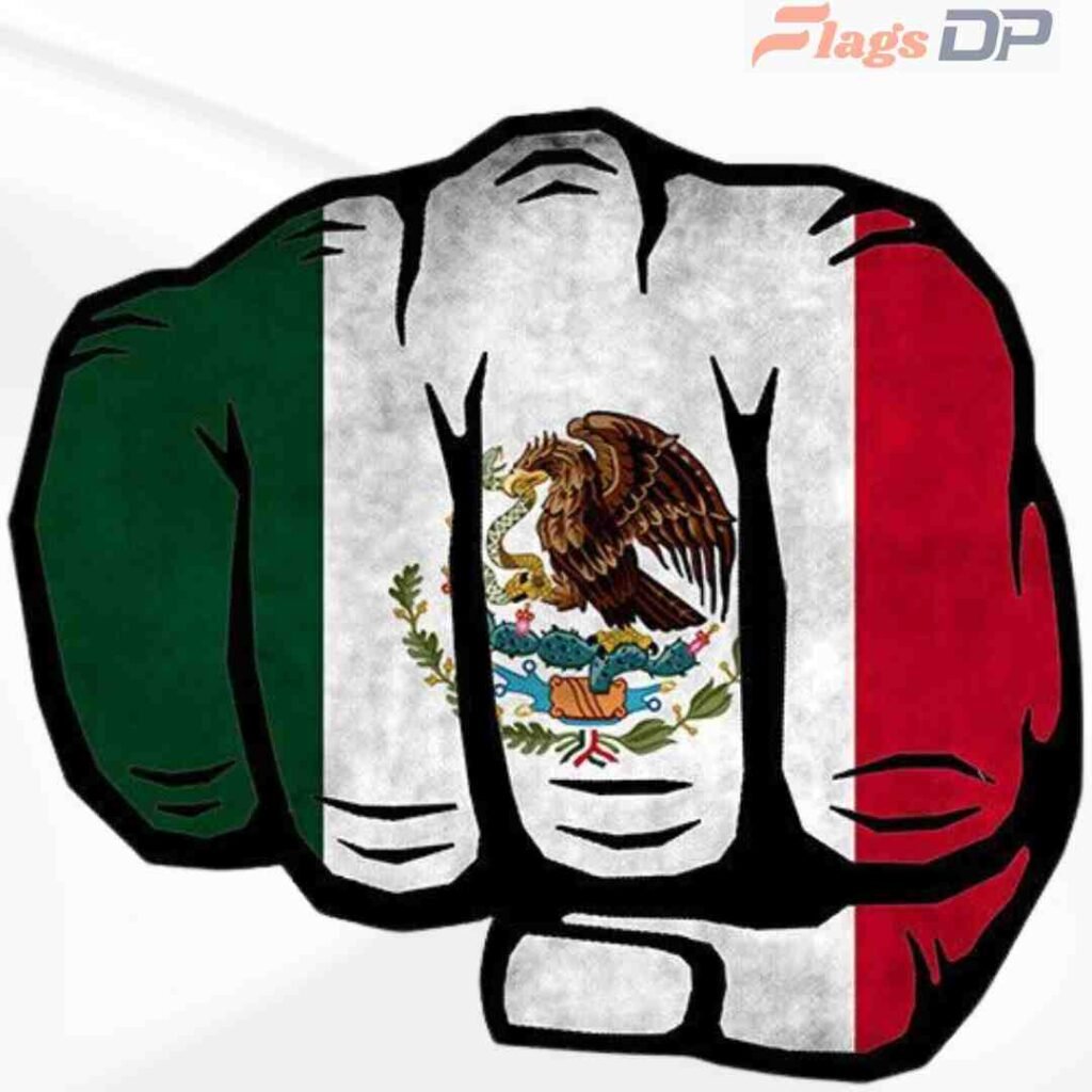Mexico Flag DP