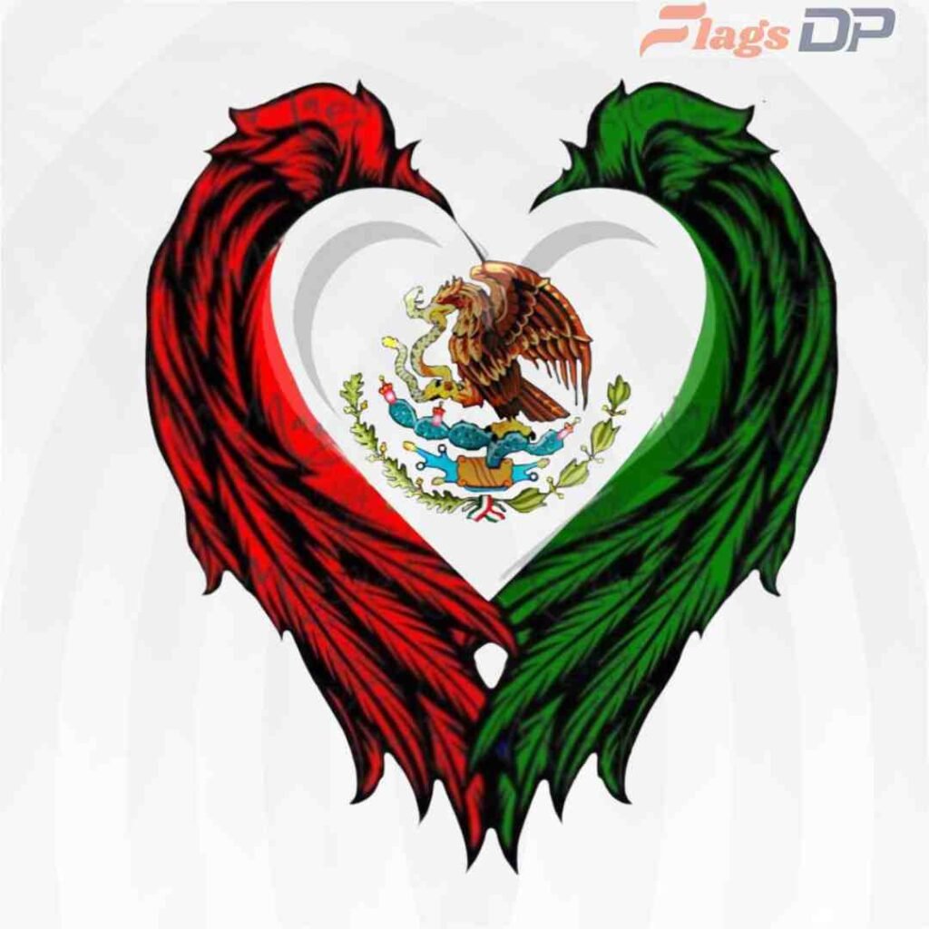 Mexico Flag DP