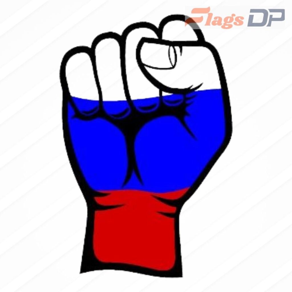 Russia Flag DP Pics