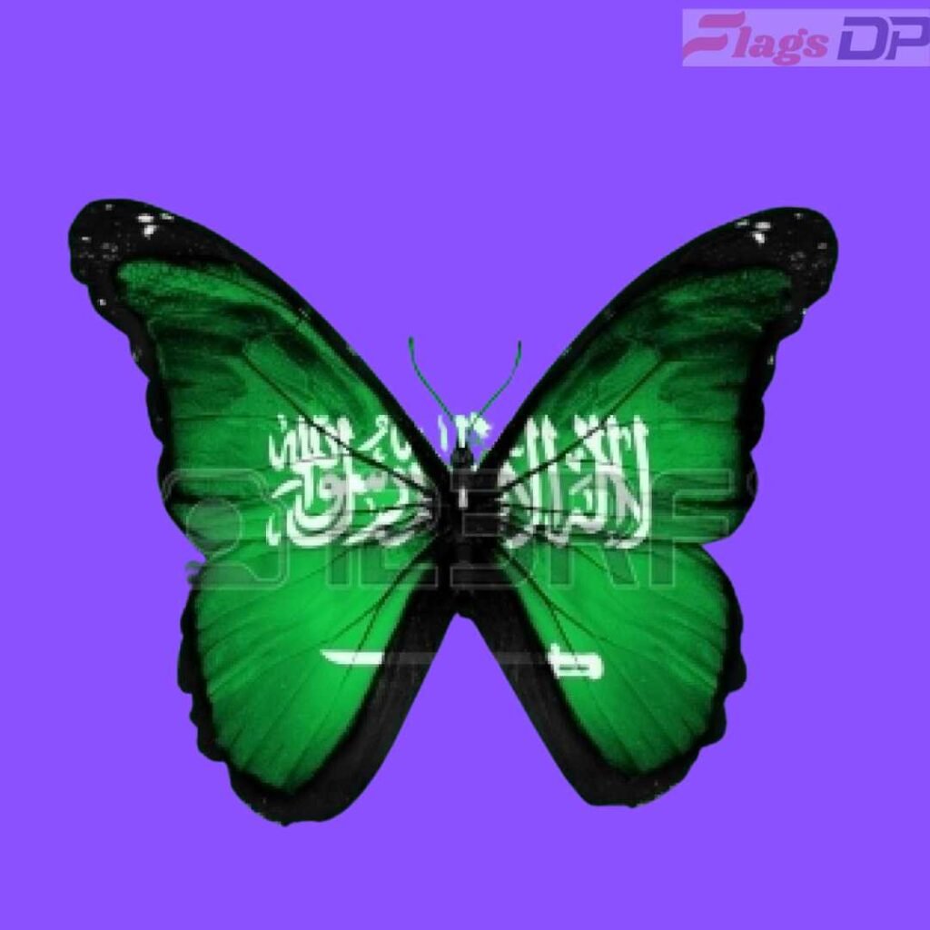 Saudi Arabia Flag DP
