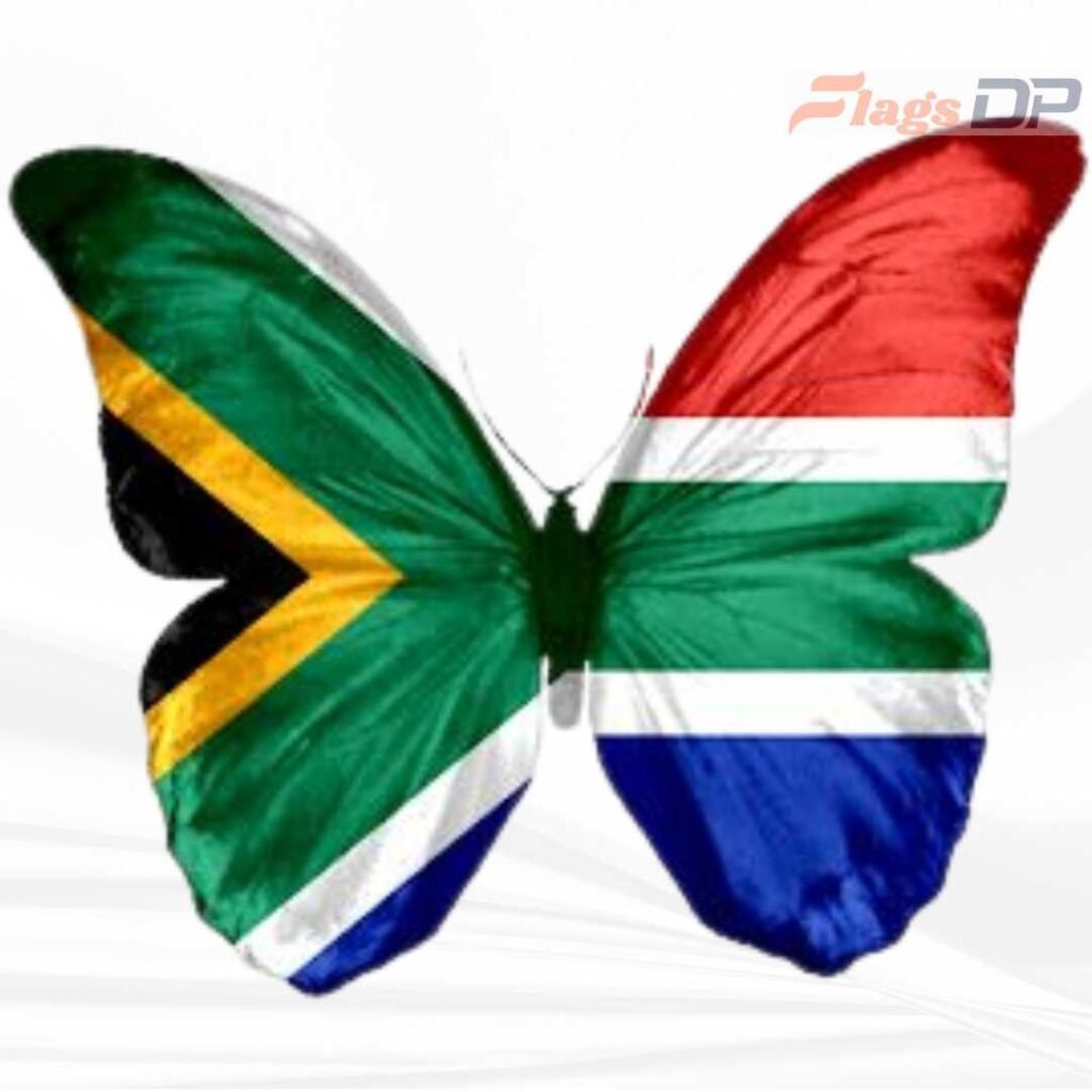 South Africa Flag DP Pics