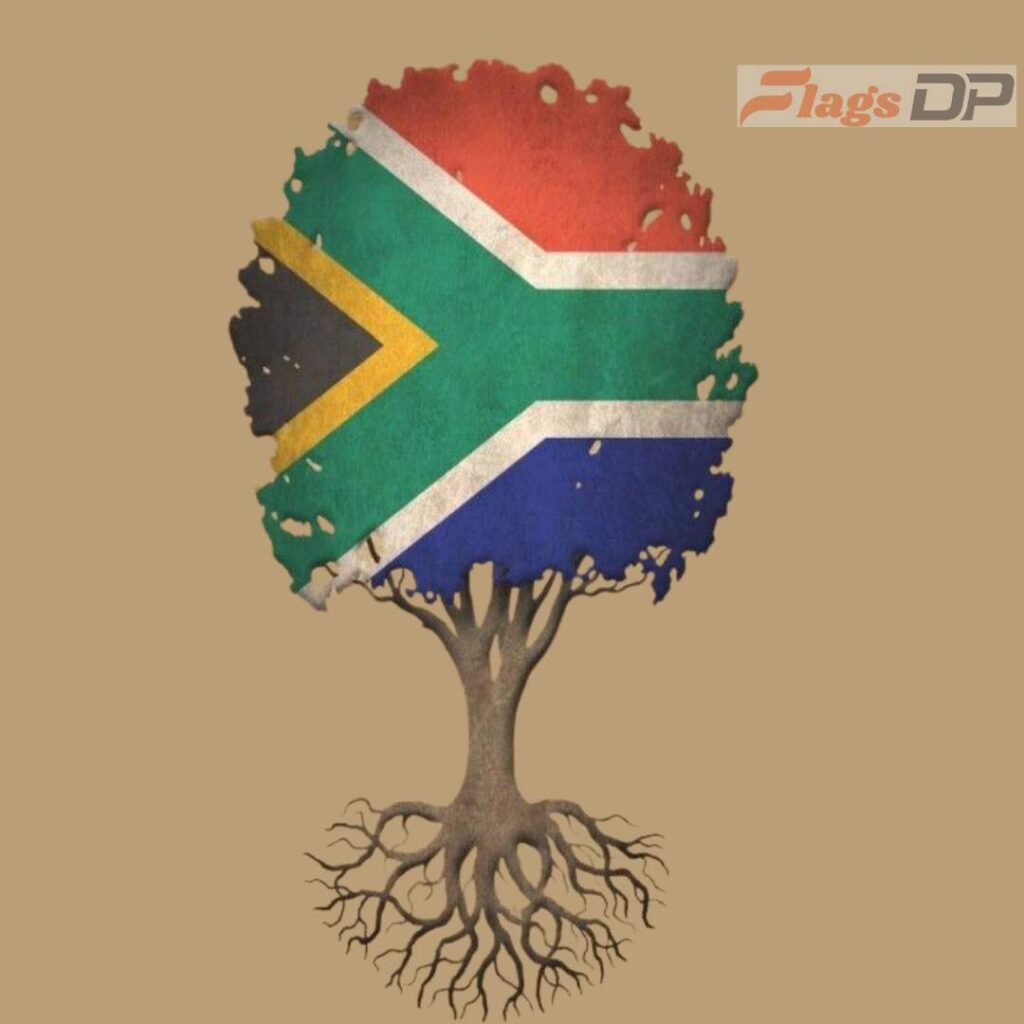  South Africa Flag DP Photos