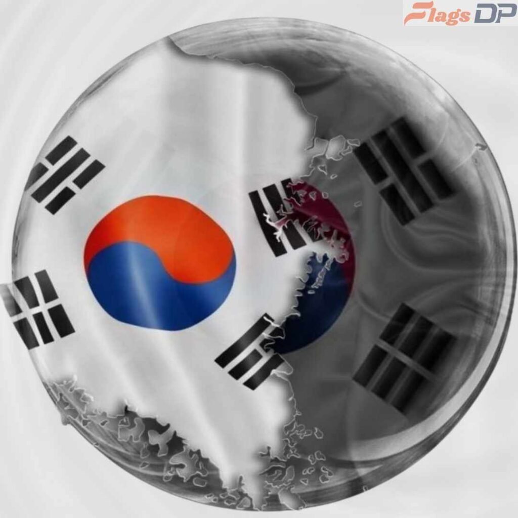 South Korea Flag DP