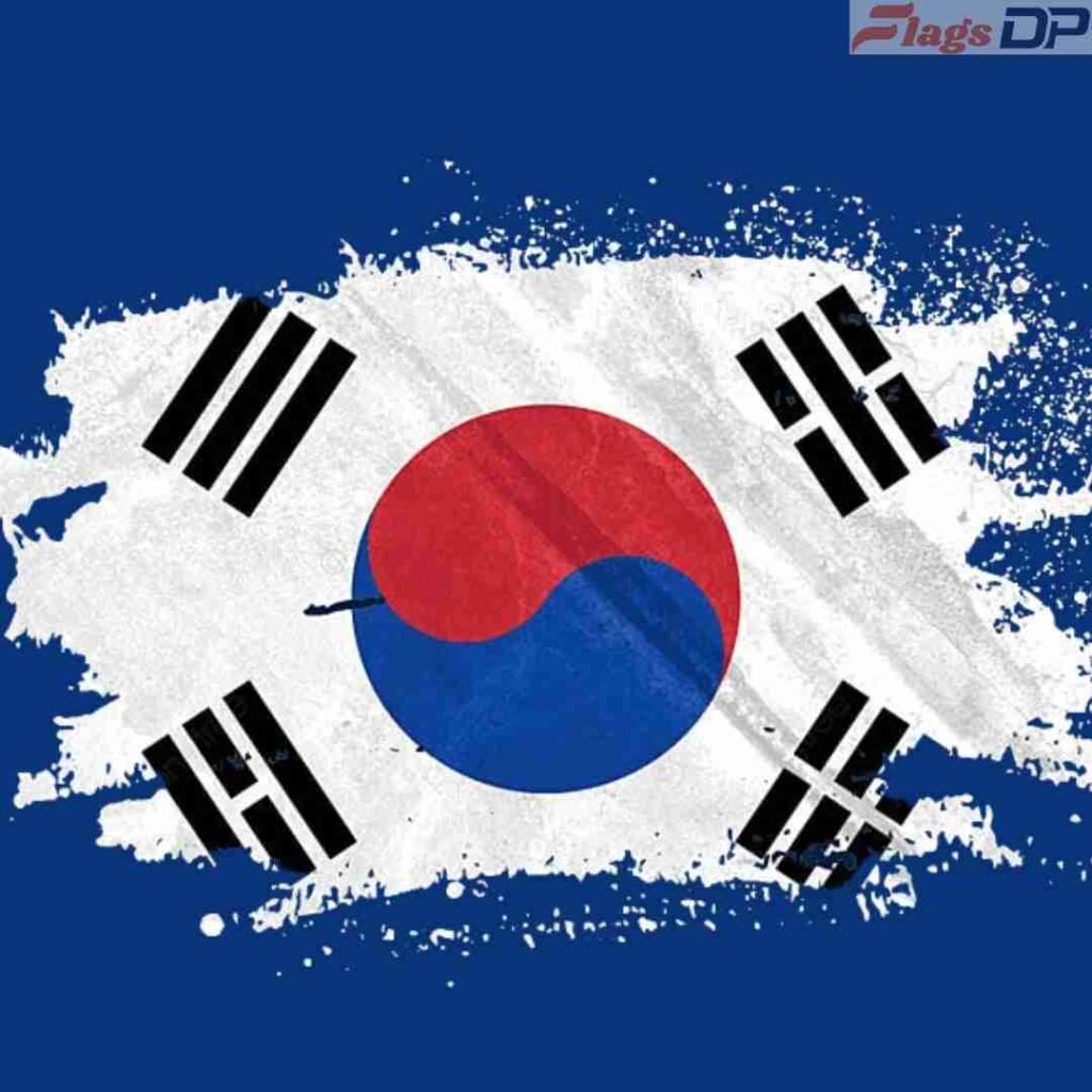 South Korea Flag DP Pics
