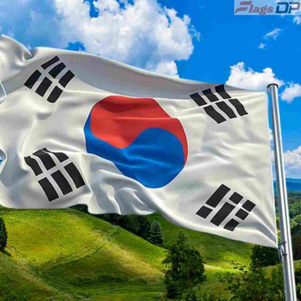 South Korea Flag DP Pics