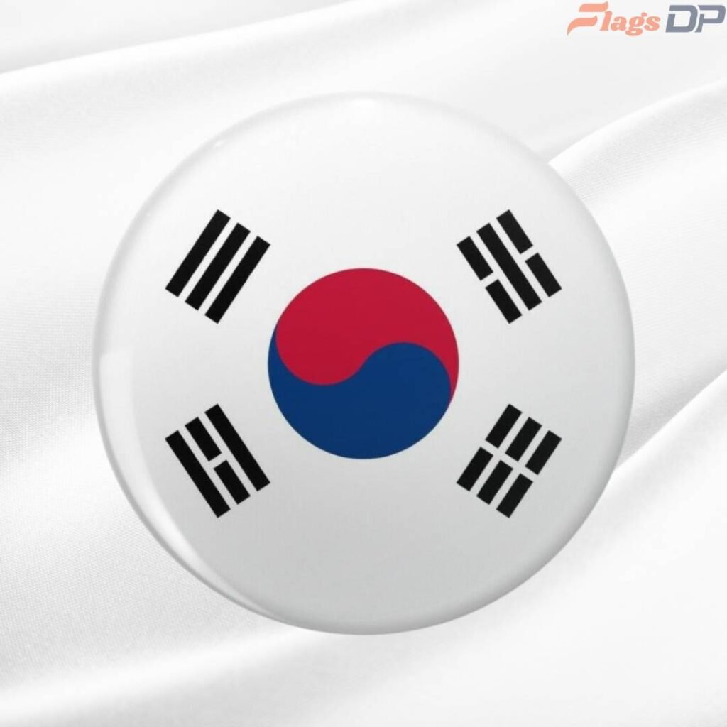 South Korea Flag DP Pics