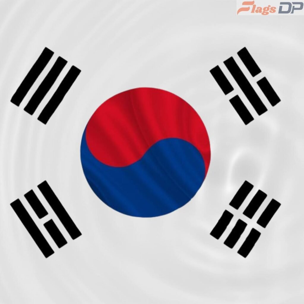 South Korea Flag DP Photos