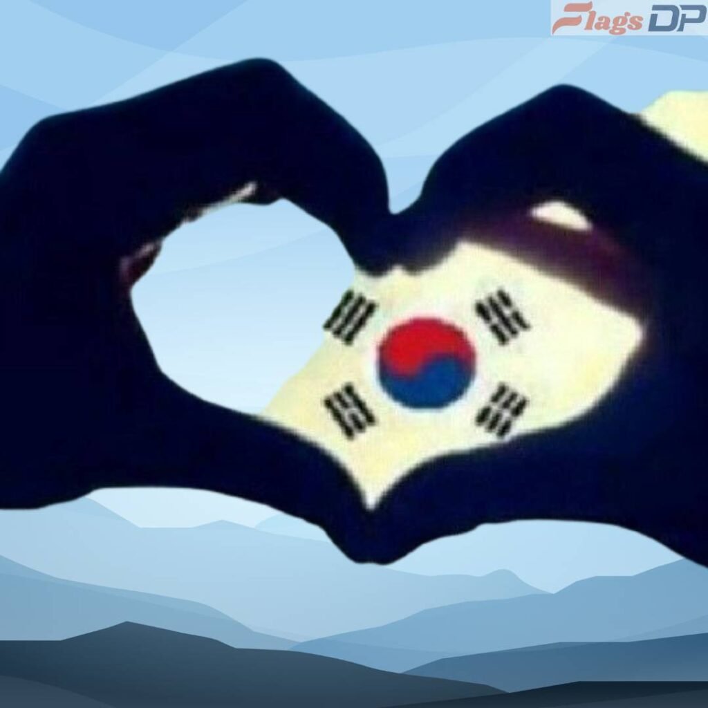 South Korea Flag DP