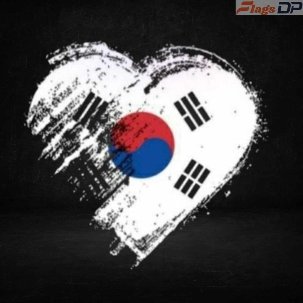 South Korea Flag DP