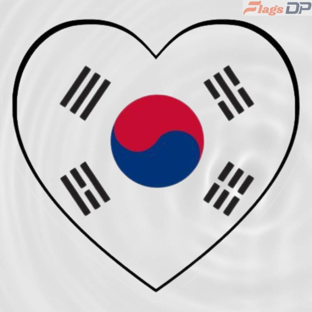 South Korea Flag DP