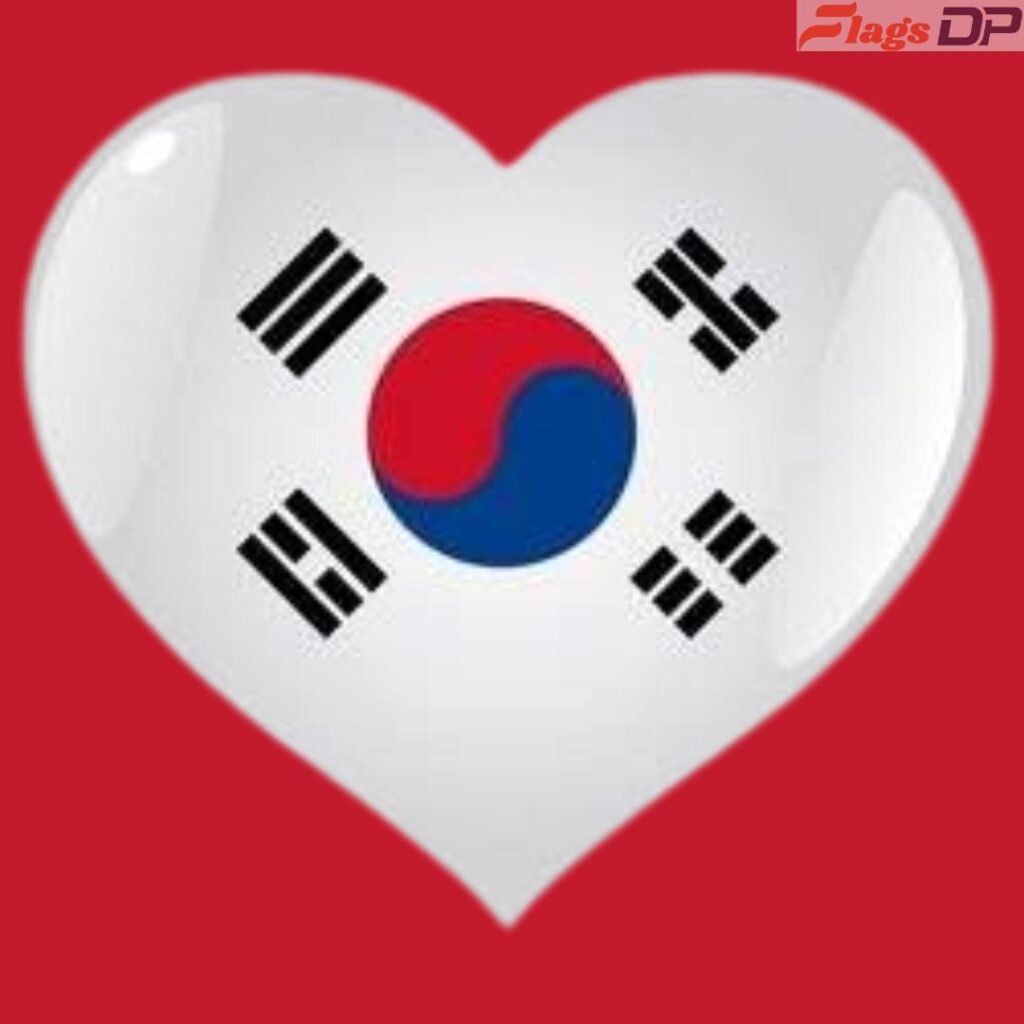 South Korea Flag DP