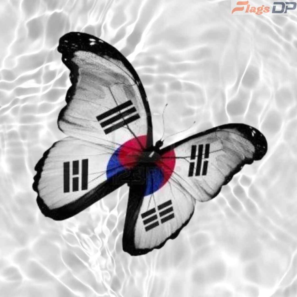 South Korea Flag DP