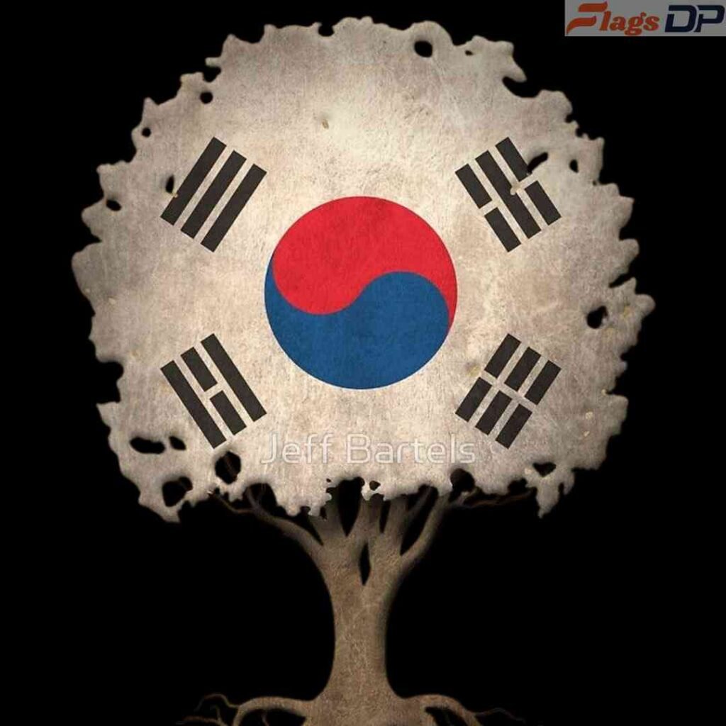 South Korea Flag DP