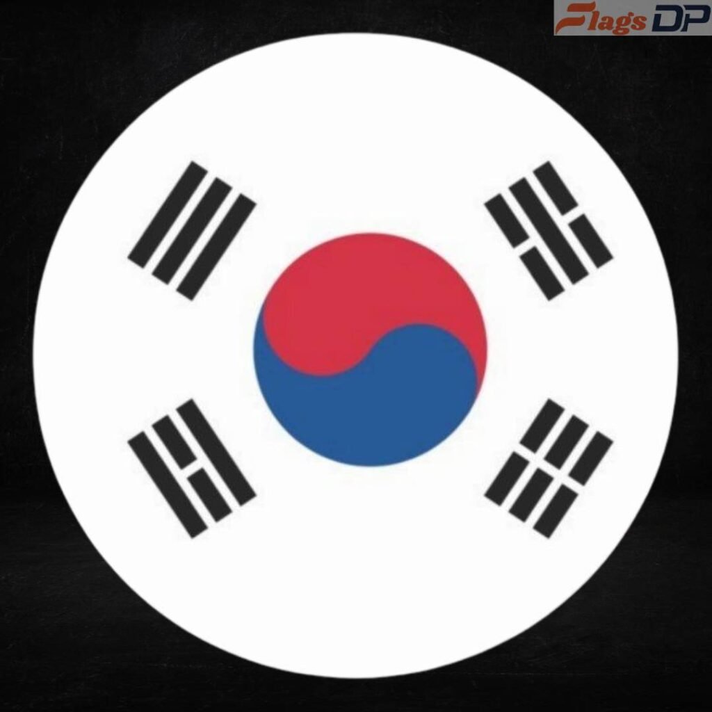 South Korea Flag DP