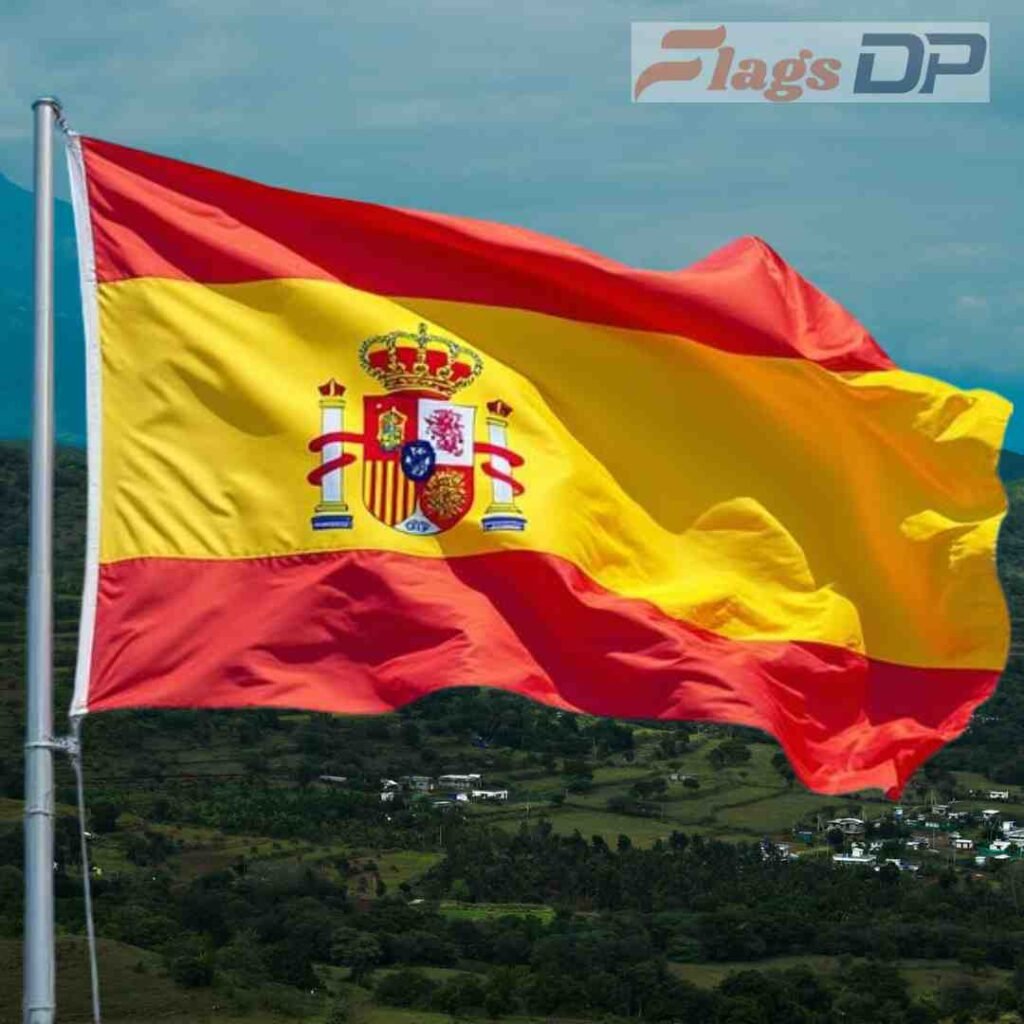 Spain Flag DP Pics