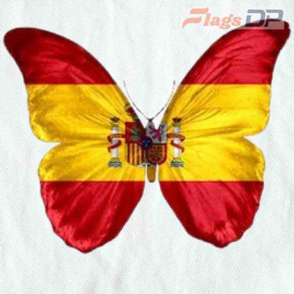 Spain Flag DP Pics
