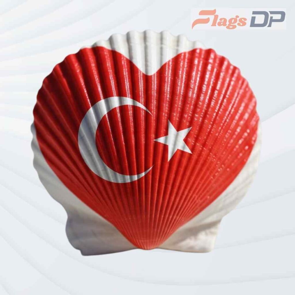 Turkey Flag DP