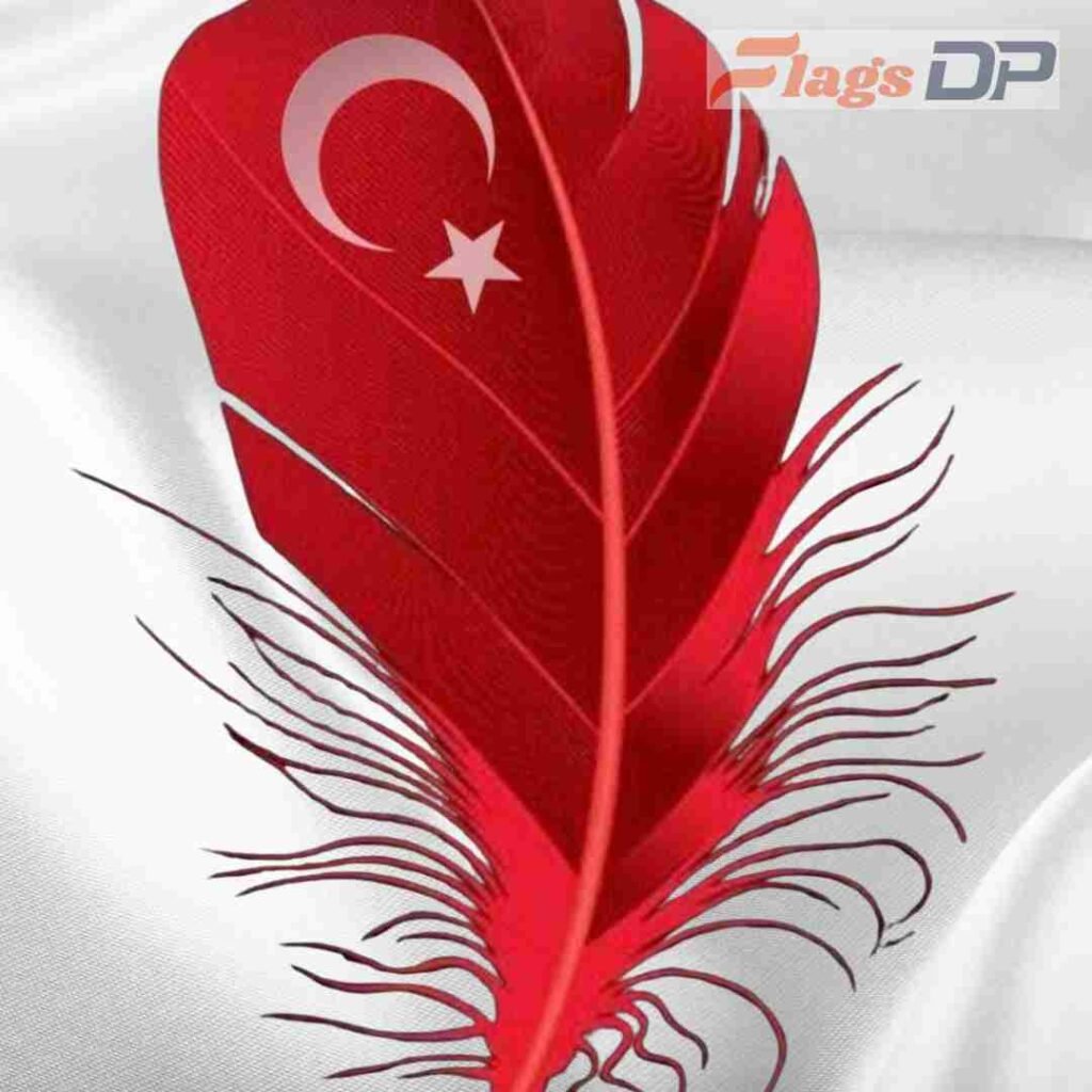Turkey Flag DP Pics