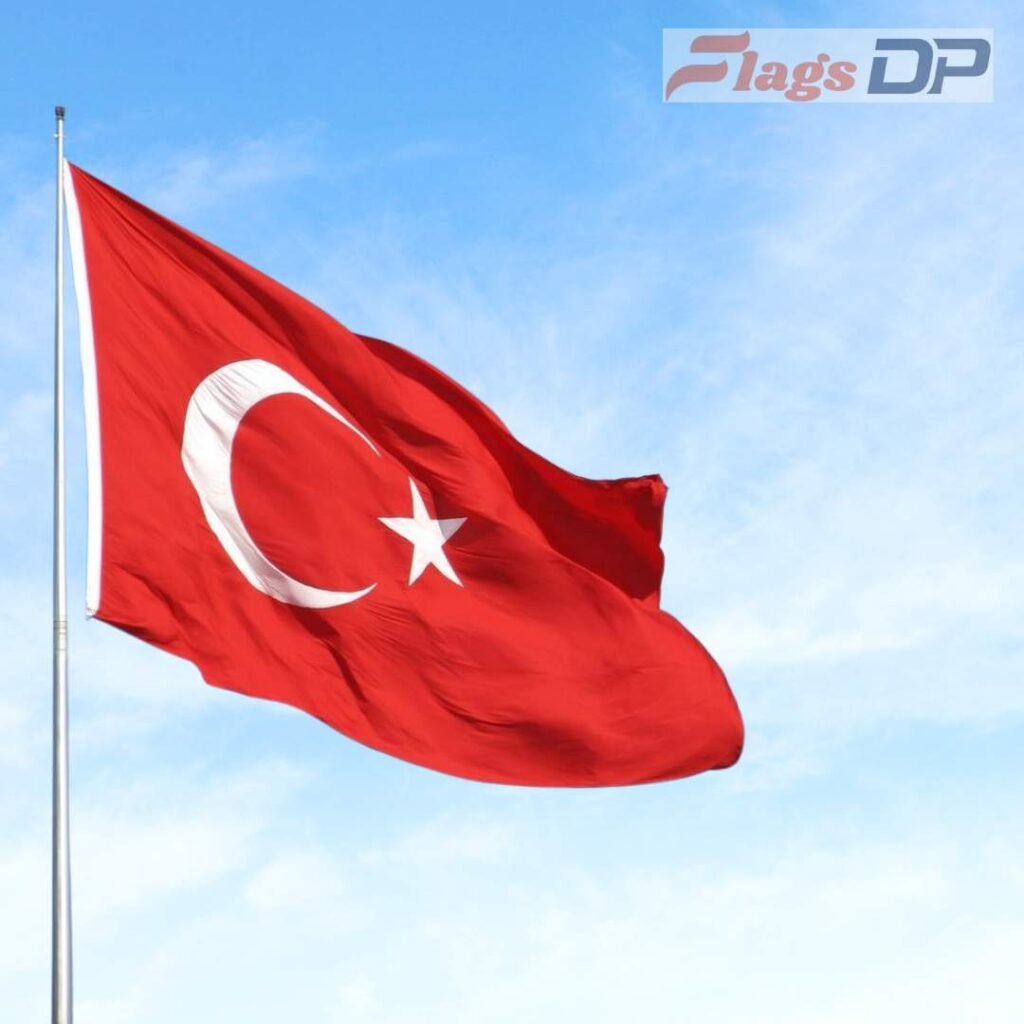 Turkey Flag DP Photos
