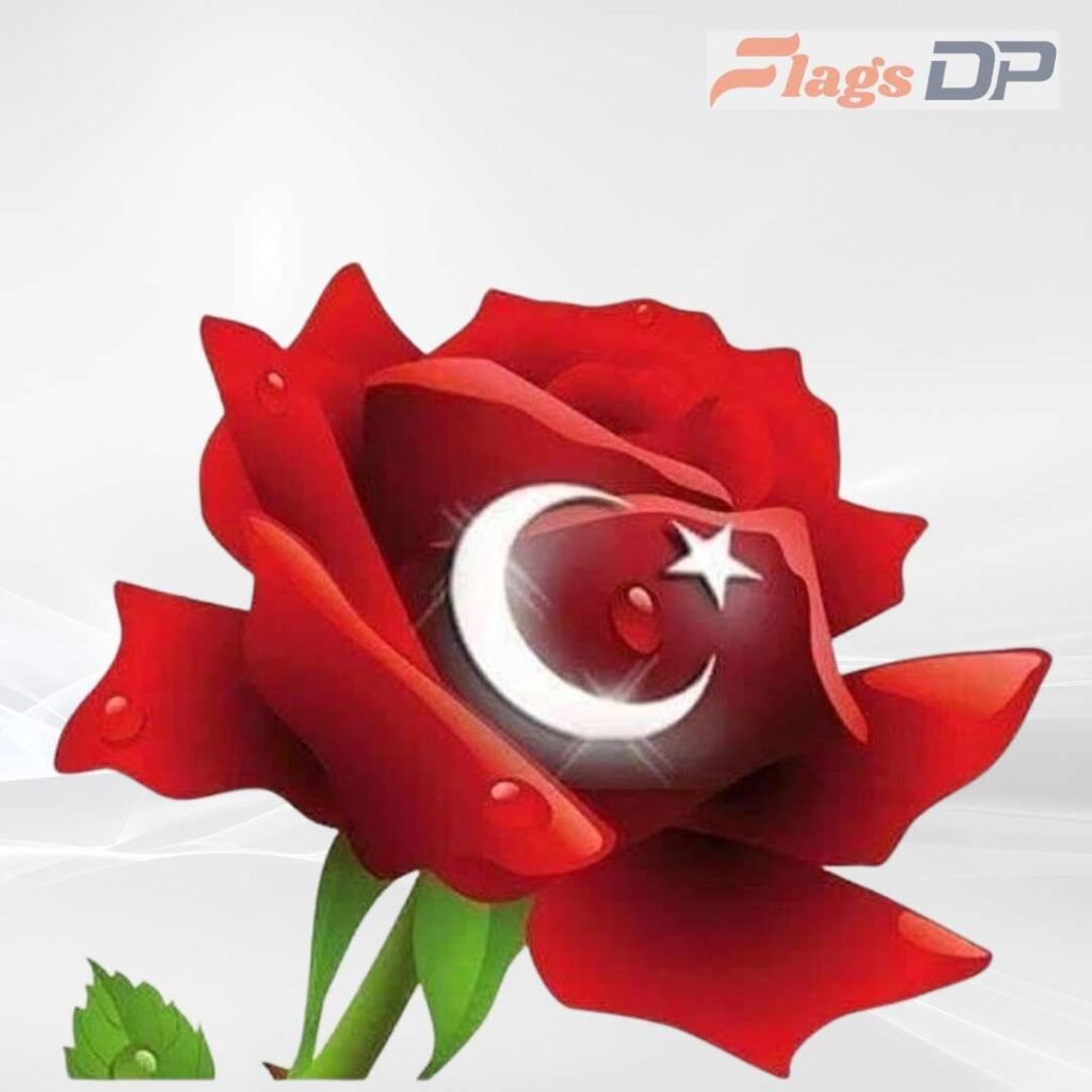 Turkey Flag DP Pics