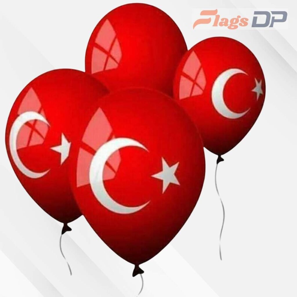 Turkey Flag DP Pics