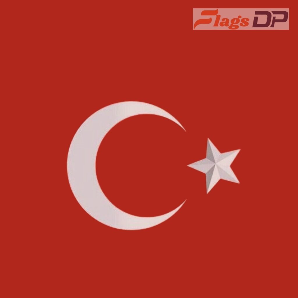 Turkey Flag DP