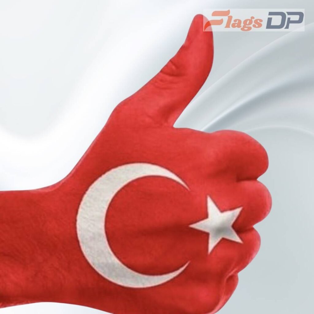 Turkey Flag DP