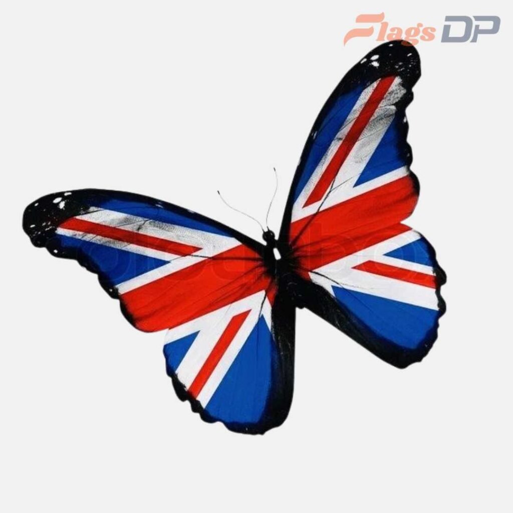United Kingdom Flag DP Pic