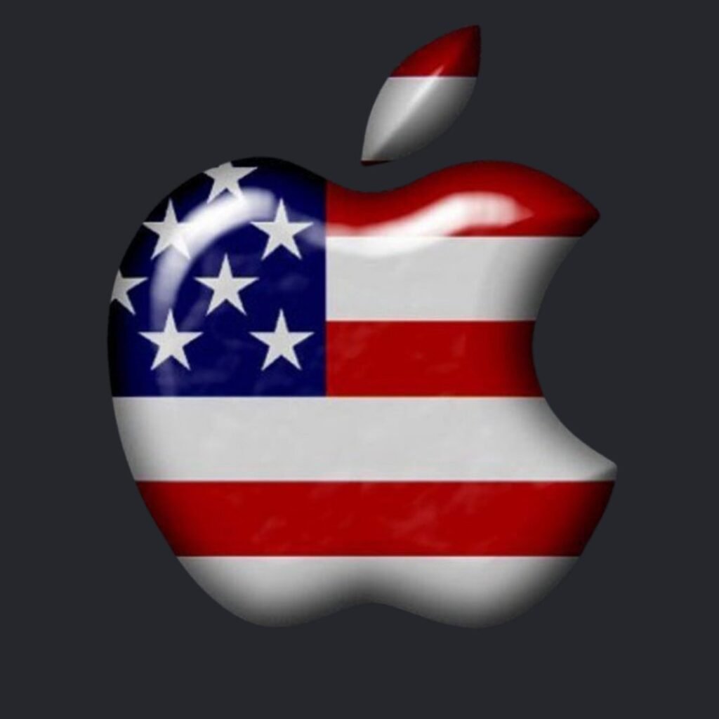 United States Flag DP