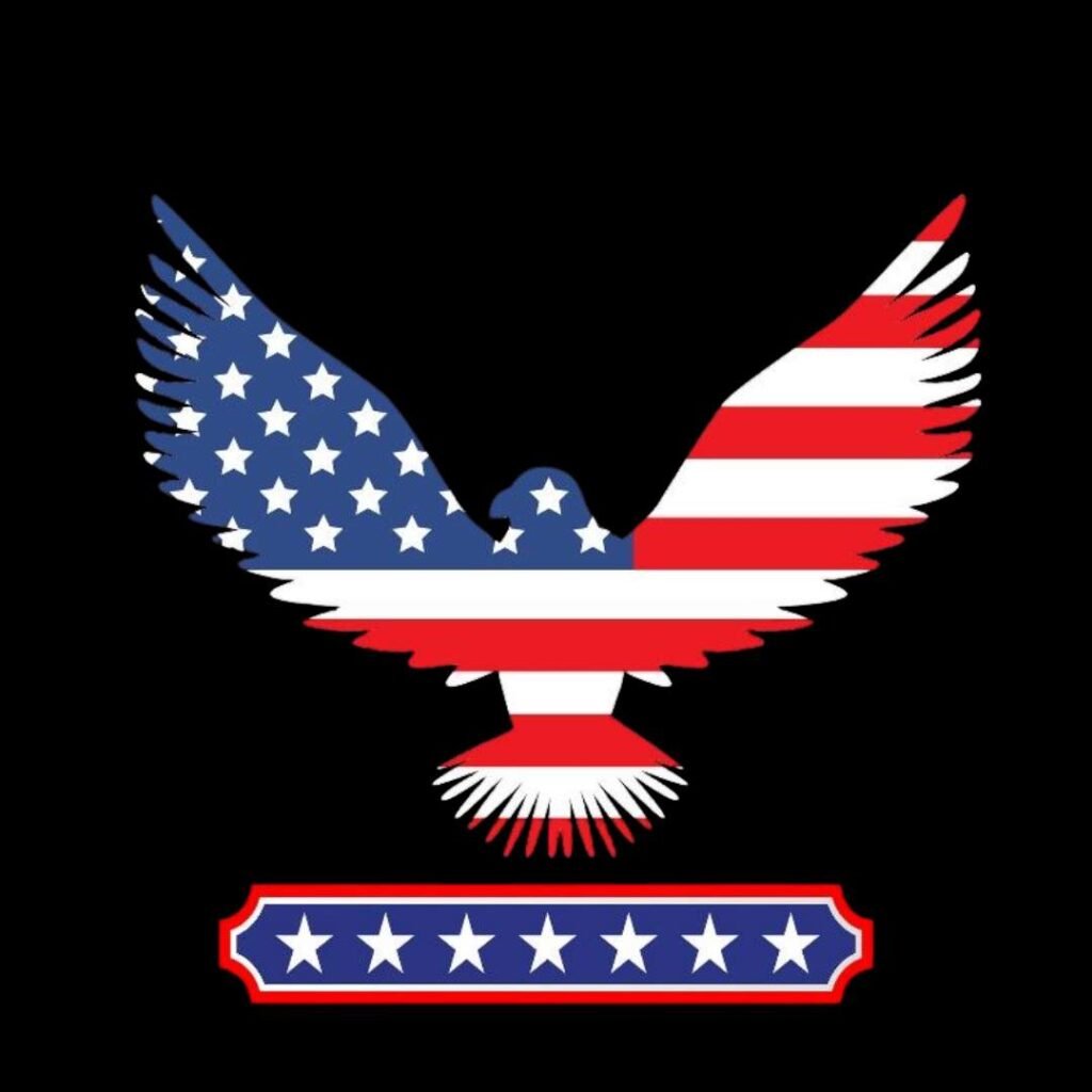 United States Flag DP Pic