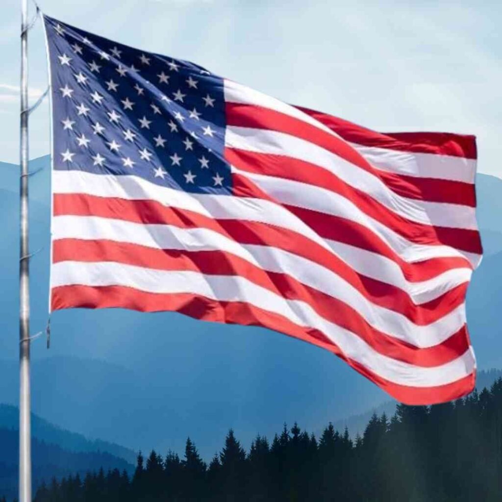 United States Flag DP
