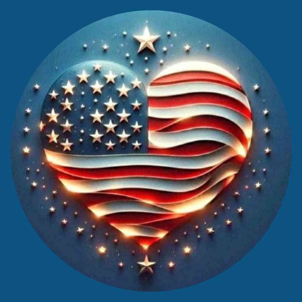 United States Flag DP