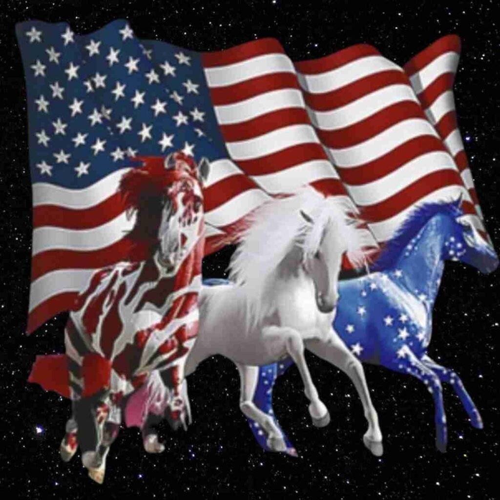 United States Flag DP