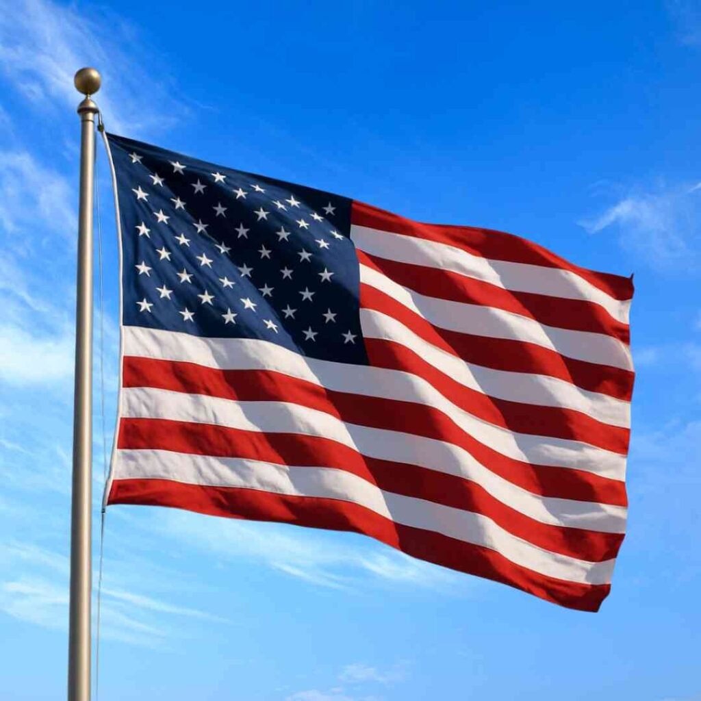 United States Flag DP