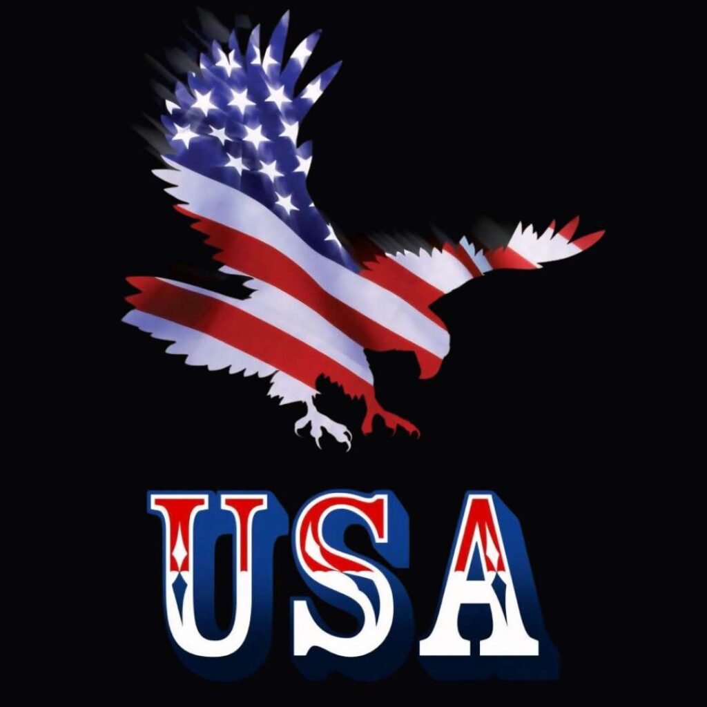 United States Flag DP