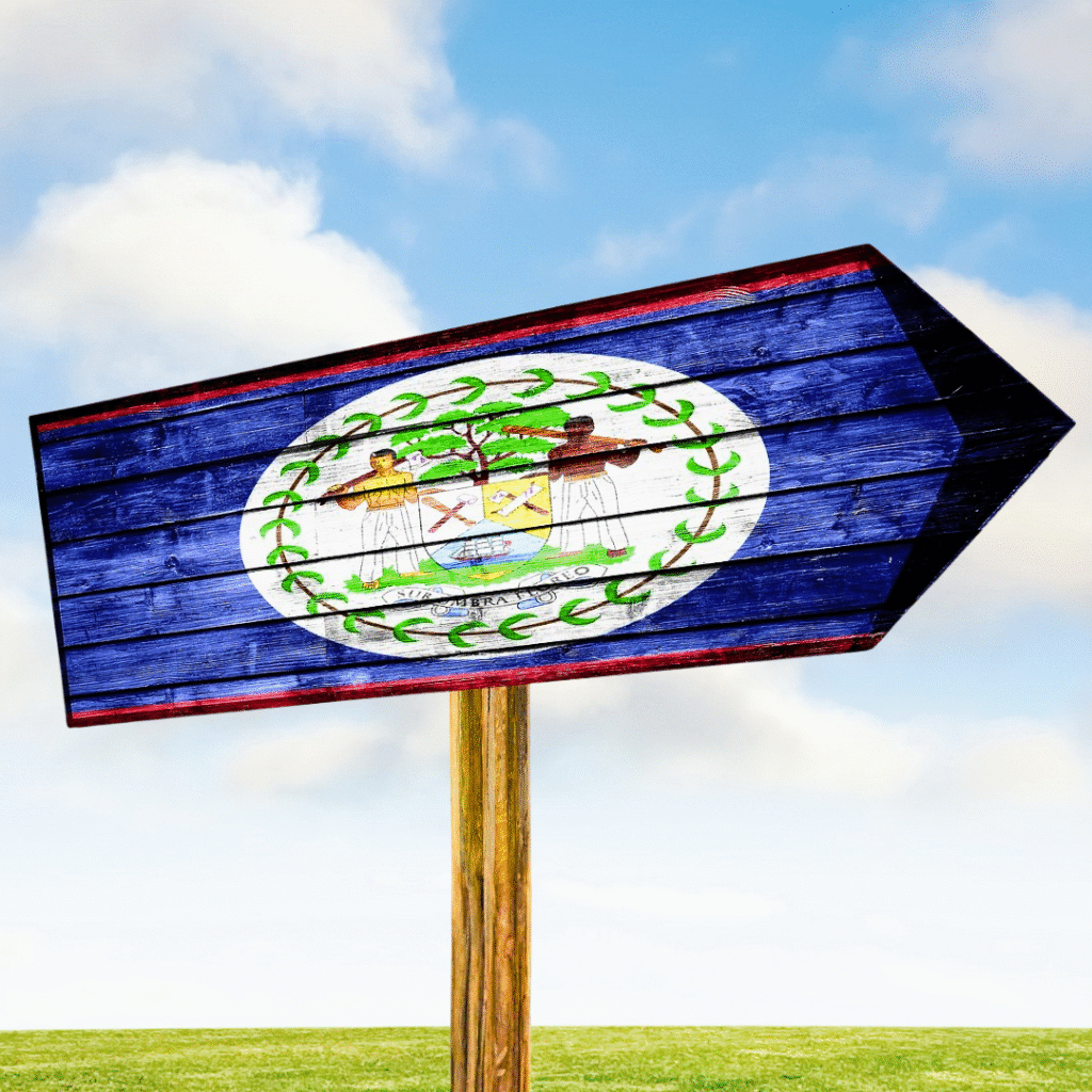 Belize Flag DP