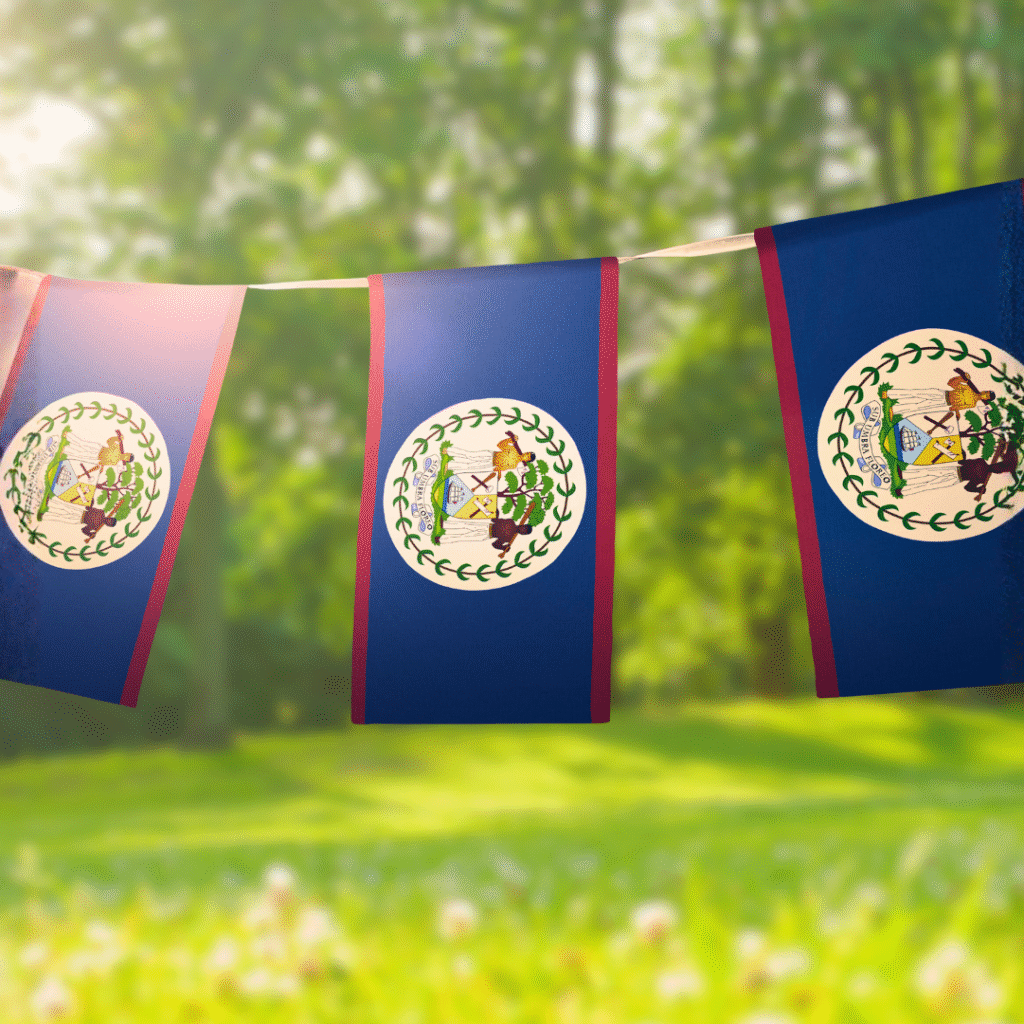 Belize Flag DP Photos
