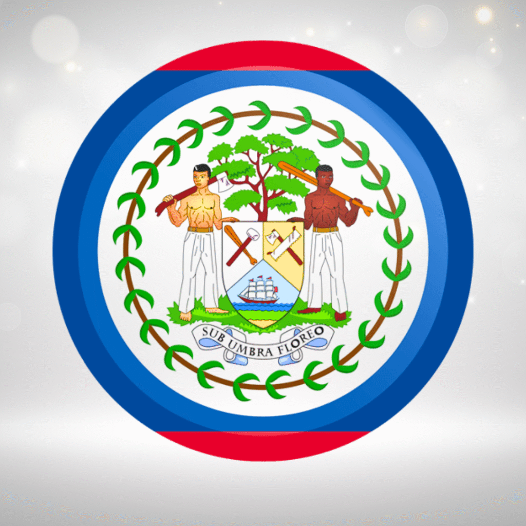 Belize Flag DP