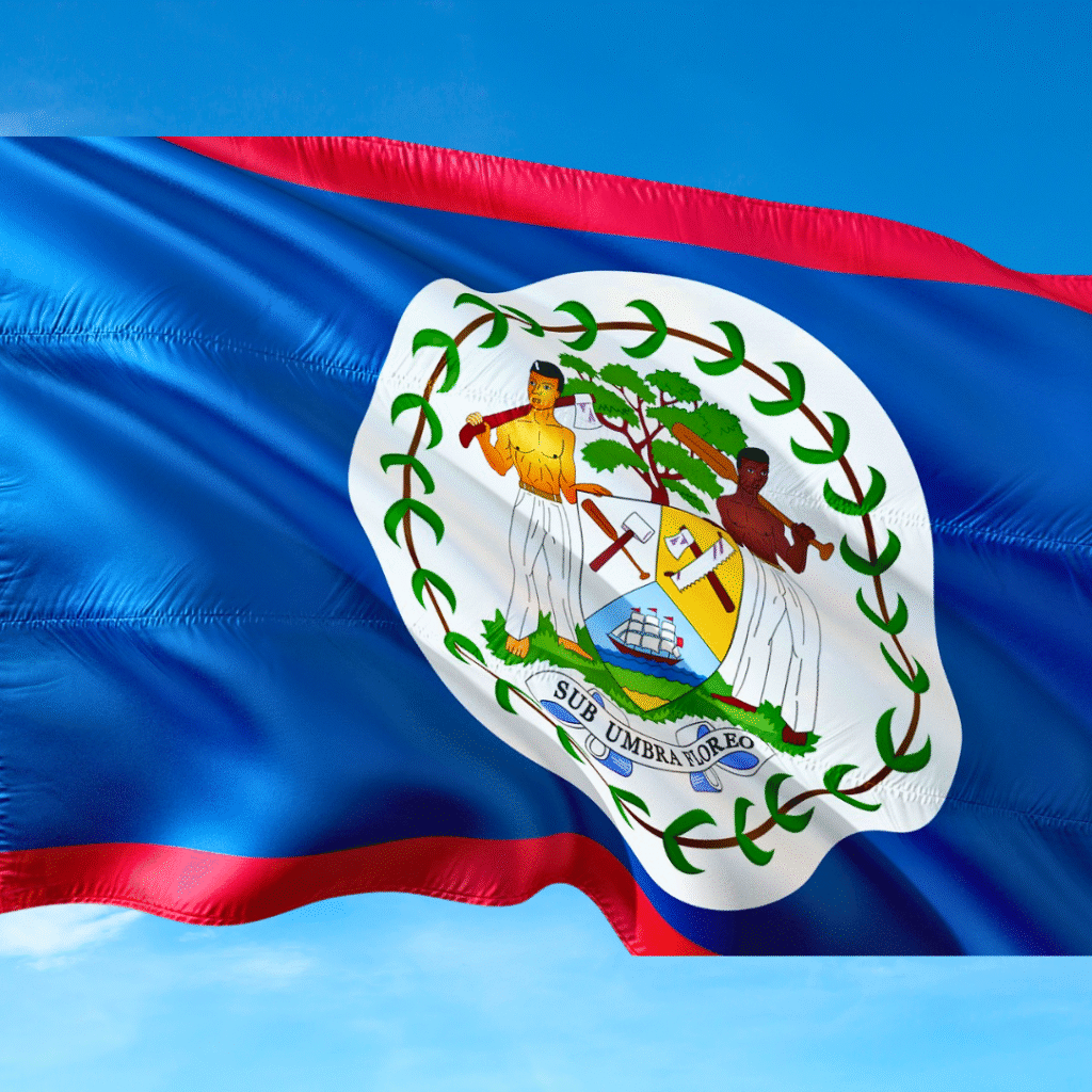 Belize Flag DP