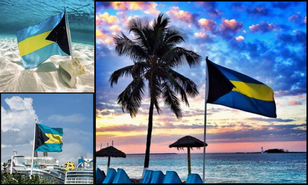 Bahamas Flag DP