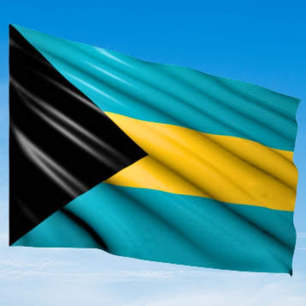 Bahamas Flag DP