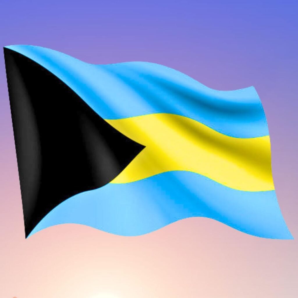 Bahamas Flag DP