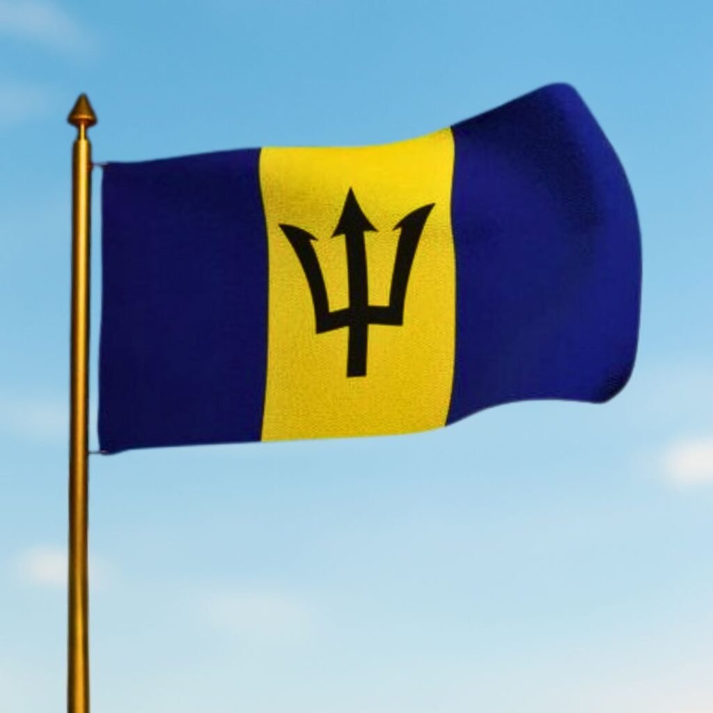 Barbados Flag DP