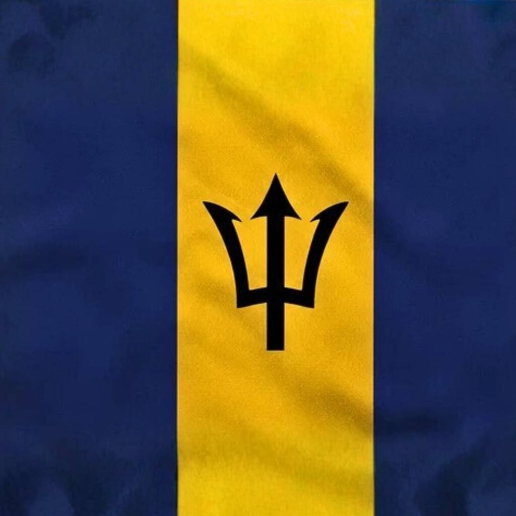 Barbados Flag DP